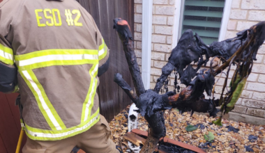 Heater causes small brush fire in Flour Bluff during freeze, no homes damaged