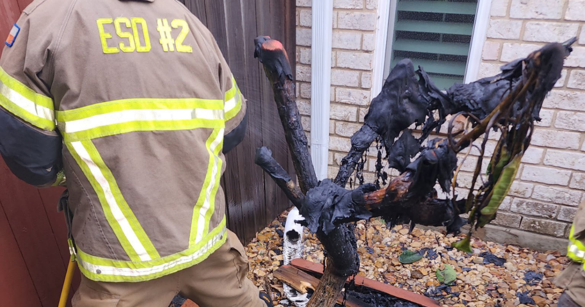 Heater causes small brush fire in Flour Bluff during freeze, no homes damaged