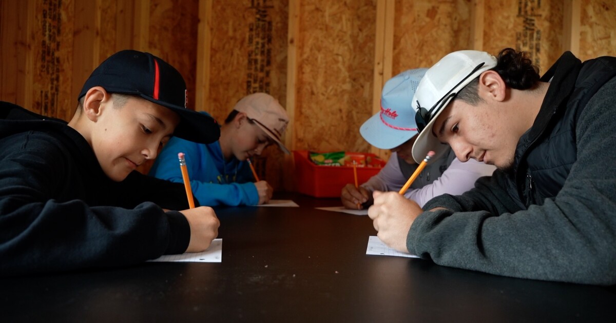New study shed at NCJLS helps students juggle academics and livestock duties