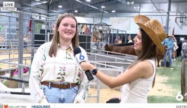Young competitors shine at NCJLS cattle show, demonstrating expert skills