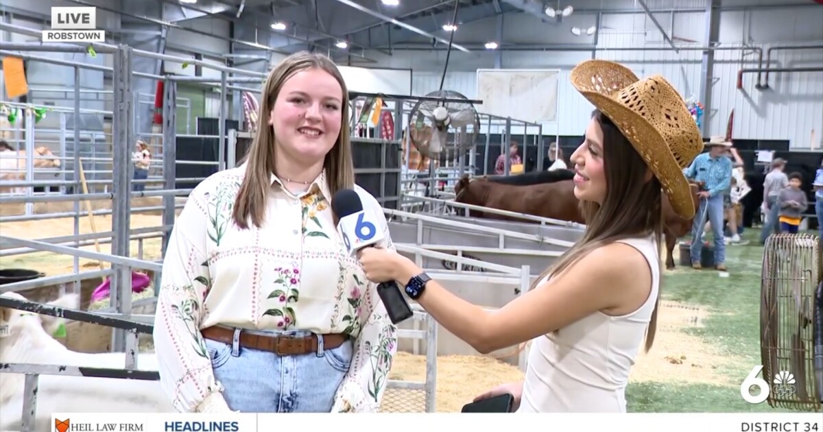 Young competitors shine at NCJLS cattle show, demonstrating expert skills