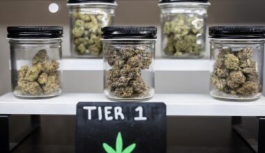 Texas set to ban smokeable cannabis as soon as Jan. 25