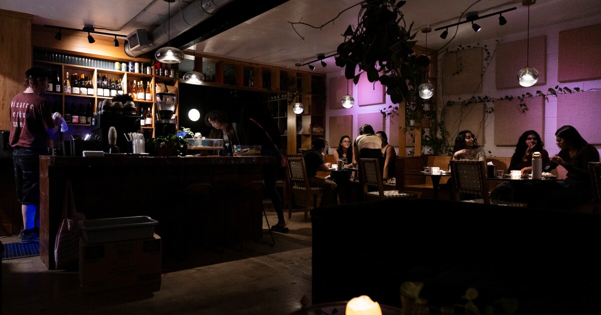 How Community Garden became a hub for artists, music lovers in Austin