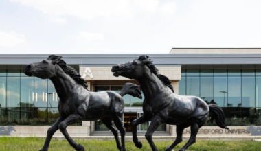 UTA offers buyouts to some faculty, staff as it grapples with financial challenges