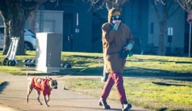 Cold front will bring below freezing temperatures to Austin