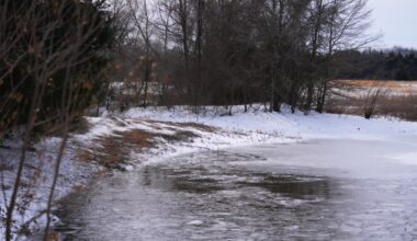 Winter storm claims lives of three young brothers in Bonham, Texas