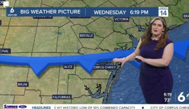 Sunny, breezy, and a bit cooler