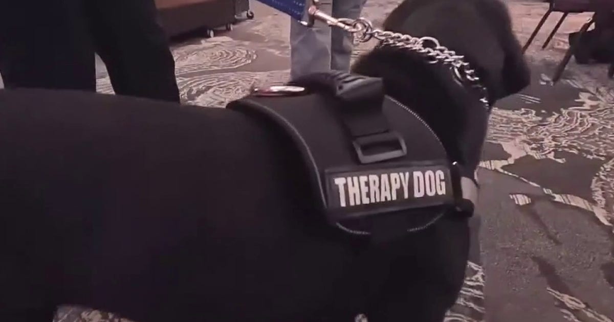 Texas State University PD swears in new therapy dogs