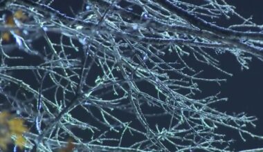 Texas winter weather: Austin officials provide winter storm update