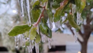 Over 850 people in need use Austin's cold weather shelters during winter storm