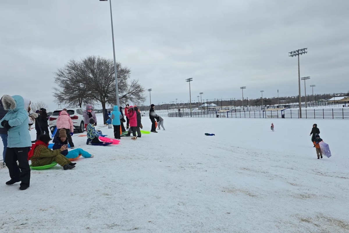 Where North Texas Families Go Sledding When Snow Hits - Local Profile