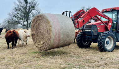 Texas farmers, ranchers brace for winter storm Texas farmers and ranchers are taking steps to protect livestock and limit potential losses as Winter Storm Fern moves across the U.S.