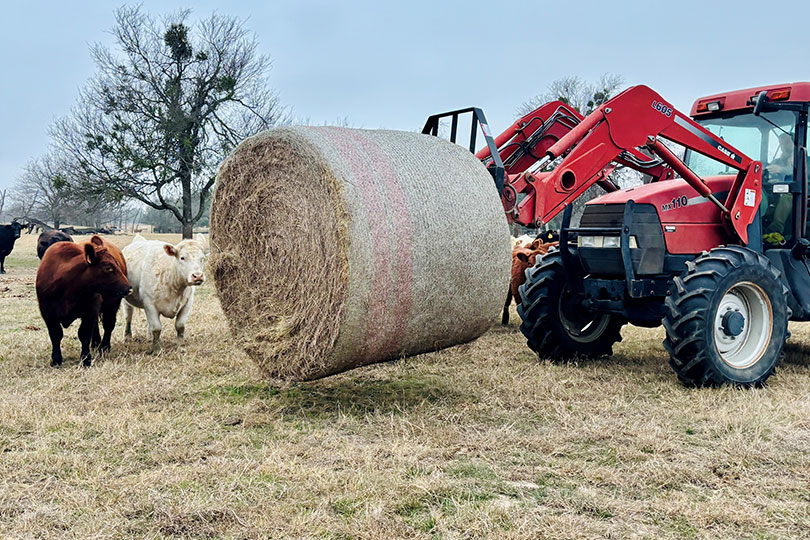 Texas farmers, ranchers brace for winter storm Texas farmers and ranchers are taking steps to protect livestock and limit potential losses as Winter Storm Fern moves across the U.S.