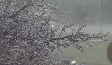 LIVE UPDATES: Austin weather: Latest on winter storm as Arctic blast set to arrive