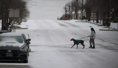 A person walks their dog in the snow during a winter storm Tuesday, Jan. 31, 2023, in Fort Worth.