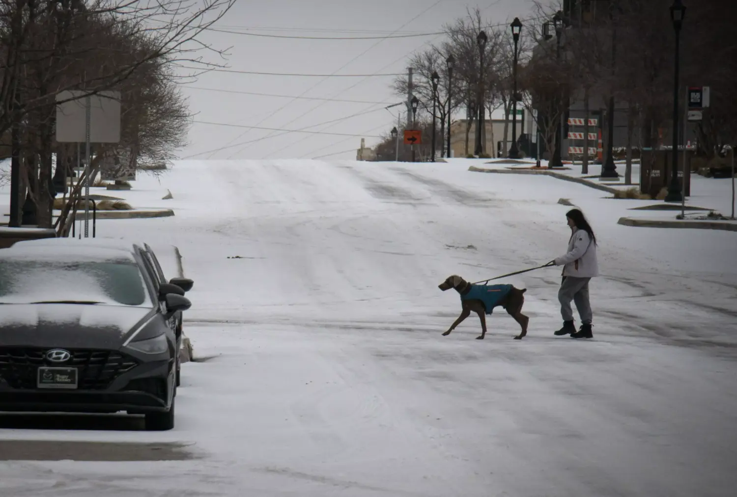 A person walks their dog in the snow during a winter storm Tuesday, Jan. 31, 2023, in Fort Worth.