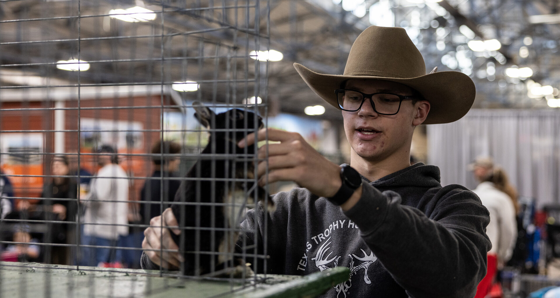 ‘Wide-eyed, bushy tailed’: Rabbits draw most of Fort Worth Stock Show attendees