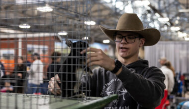 ‘Wide-eyed, bushy tailed’: Rabbits draw most of Fort Worth Stock Show attendees