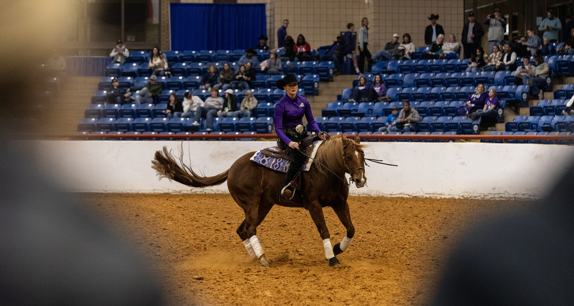 TCU equestrians show off their skills and sport at Fort Worth Stock Show