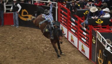 EHV-1 Disruption Sends Surprise Contenders to San Antonio Rodeo