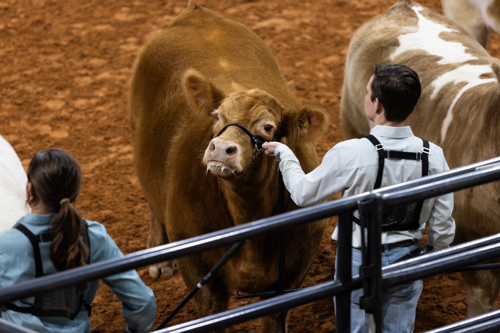 (Maria Crane | Fort Worth Report/CatchLight Local/Report for America)