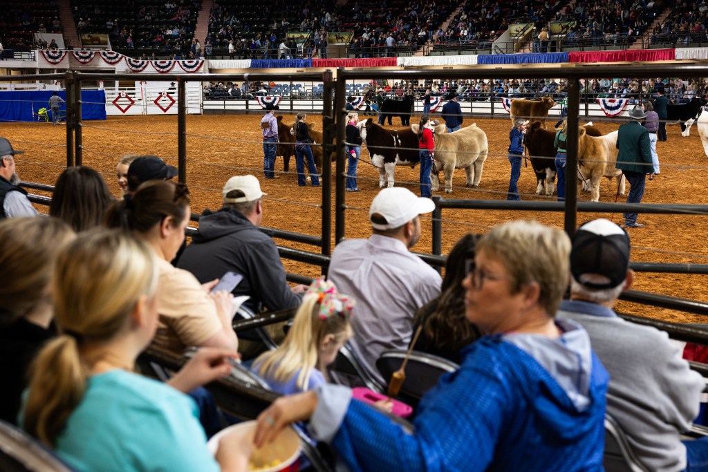 (Maria Crane | Fort Worth Report/CatchLight Local/Report for America)