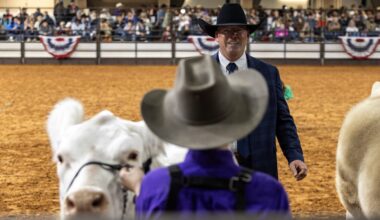 Winter woes: Fort Worth Stock Show attendance drops 20% because of ice storm