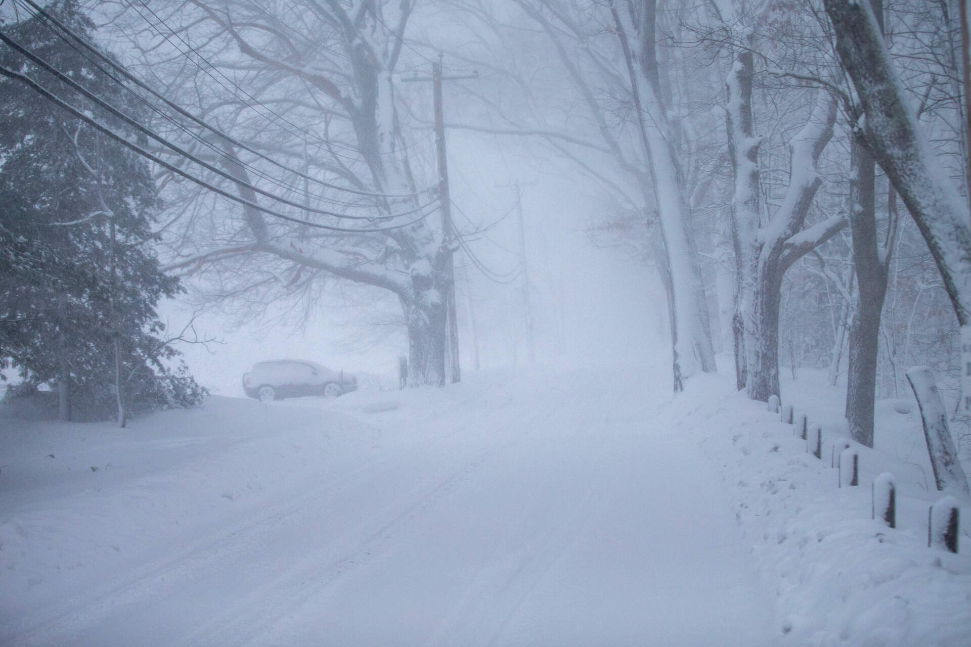 Wind and snow create whiteout conditions on Weston Road in Lincoln by Browning Fields in the early morning. (Jesse Costa/WBUR)
