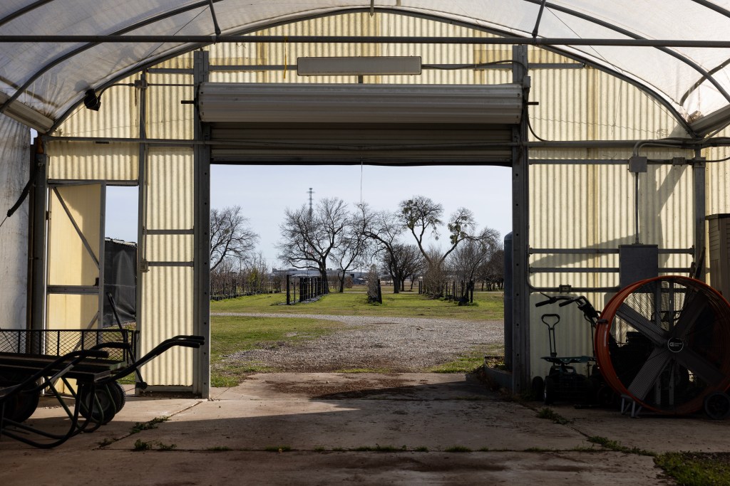 (Maria Crane | Fort Worth Report/CatchLight Local/Report for America)