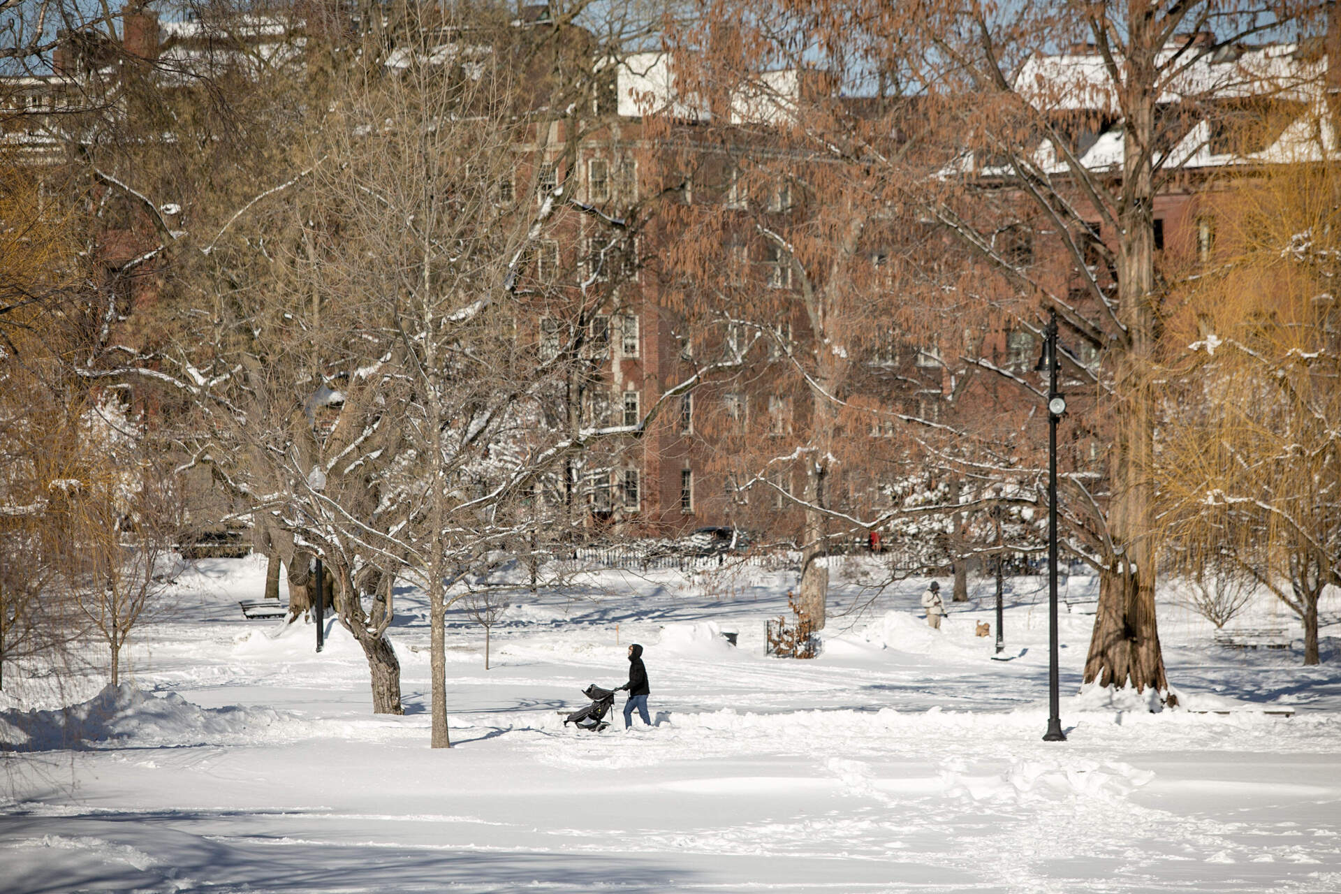 A pedestrian pushes a stroller across a snowy Public Garden in Boston, after the nor'easter. (Robin Lubbock/WBUR)