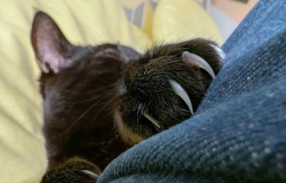 Yahoo lifestyle home