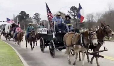 Go Texan Day returns to Houston, kicking off Rodeo season citywide