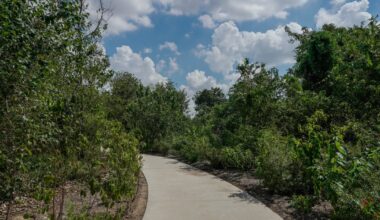 Texas commission awards record parks grants to cities across state