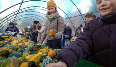 Texas gardening 2026: Best planting times for Dallas, Austin, and Houston