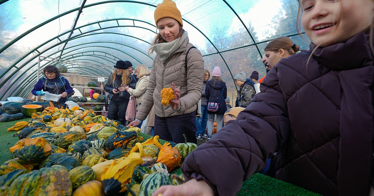 Texas gardening 2026: Best planting times for Dallas, Austin, and Houston