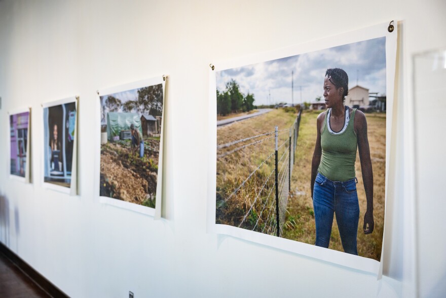 A series of photographs on a wall. In the near one, a woman in a green shirt and jeans is standing at a farm.