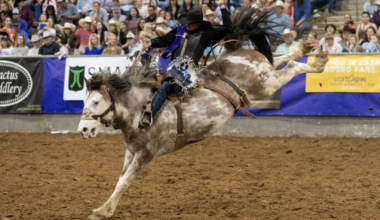 Tarleton State’s Rodeo Teams Open Spring Slate in Fort Worth