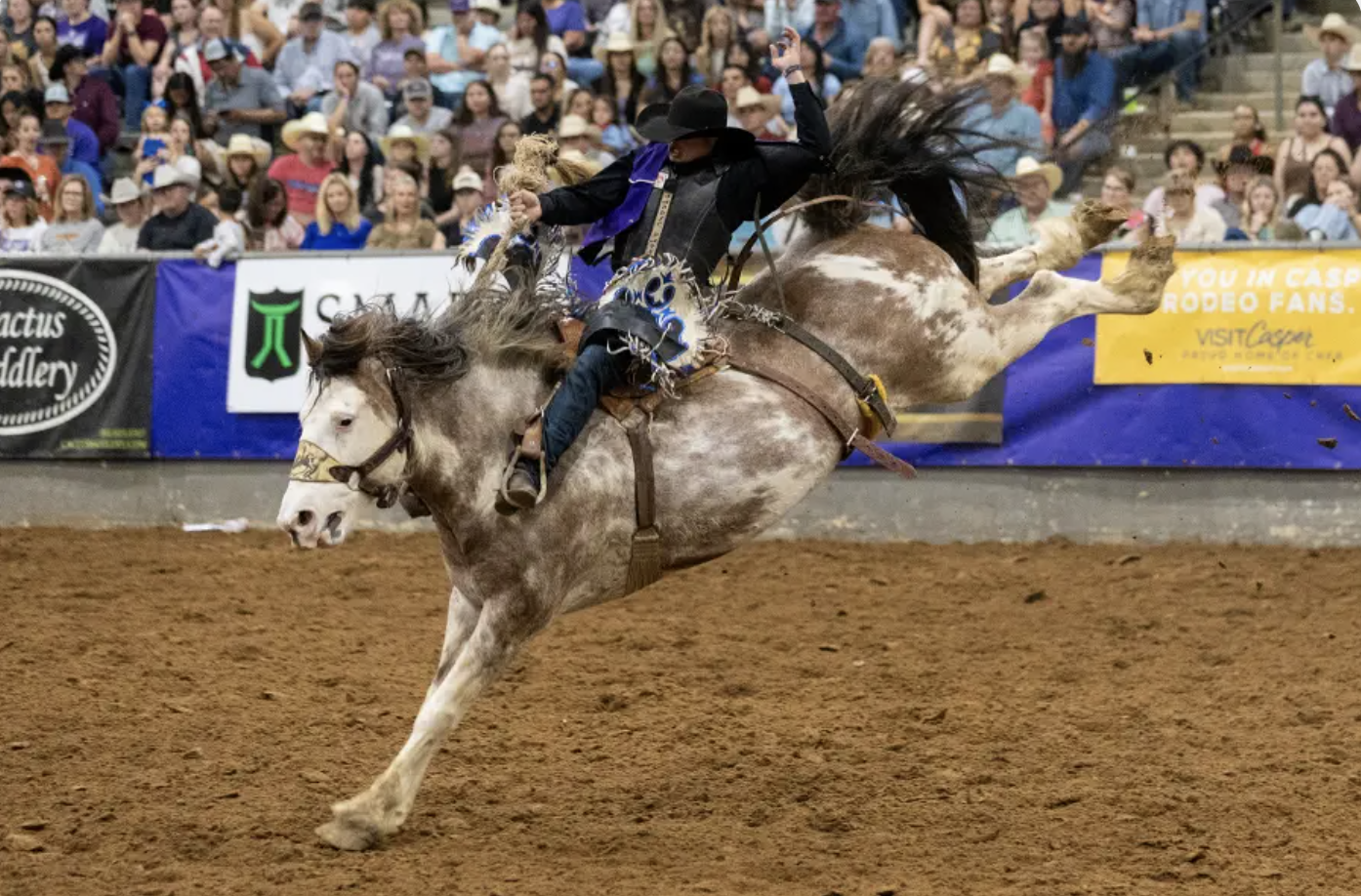 Tarleton State’s Rodeo Teams Open Spring Slate in Fort Worth