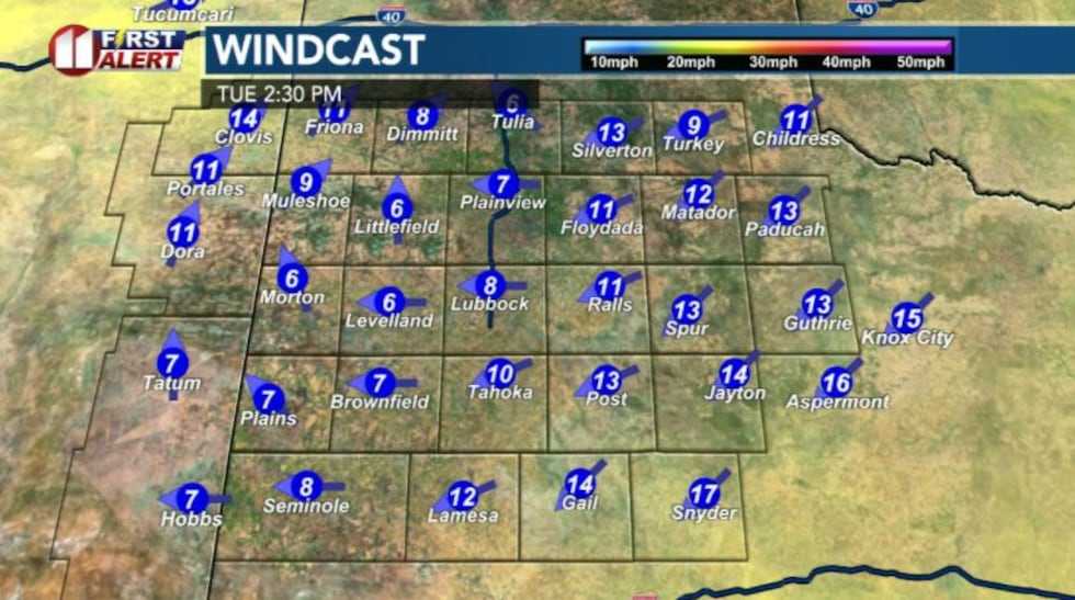 Windcast Tuesday afternoon