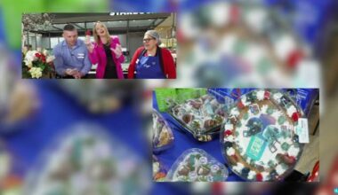 Why they are your one stop shop for the Big Game and Valentine’s Day