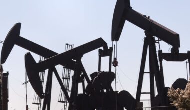 Texas fossil fuel boycott law declared unconstitutional