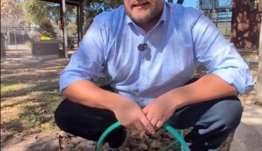 How to save water as SAWS expected to increase rates