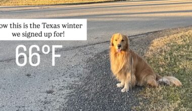 Alex Drummond Shares Photo of What Texas Winter Should Look Like