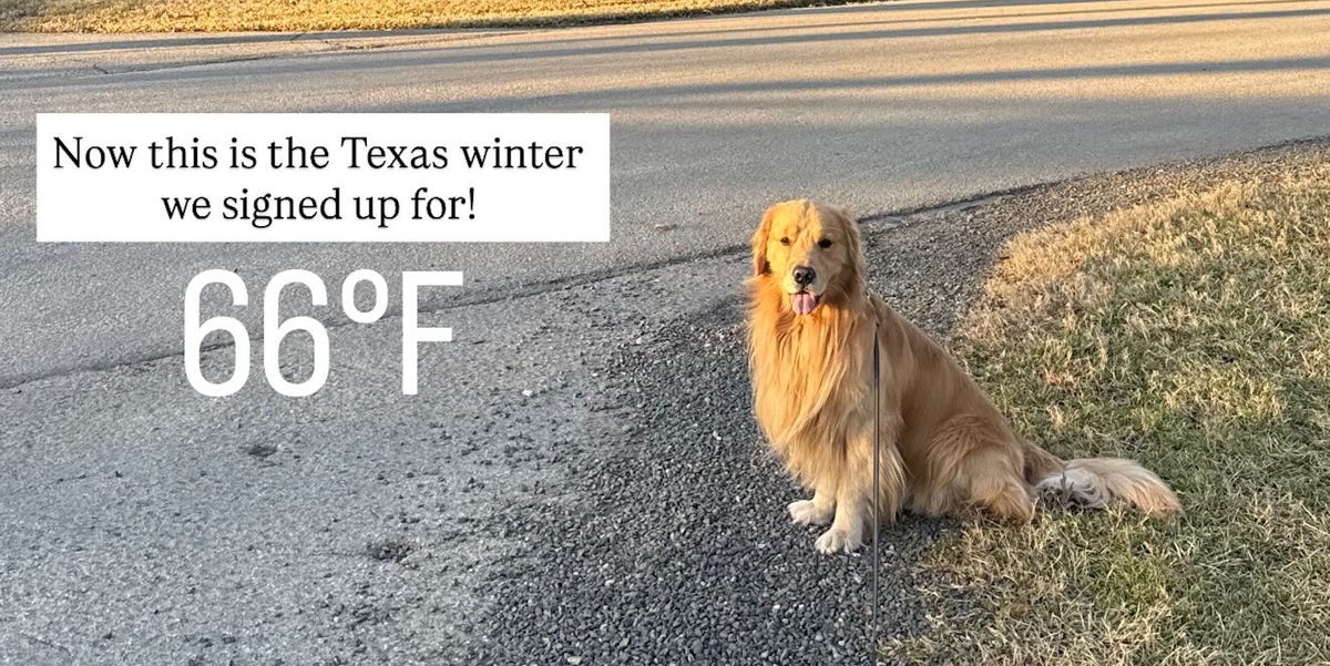 Alex Drummond Shares Photo of What Texas Winter Should Look Like
