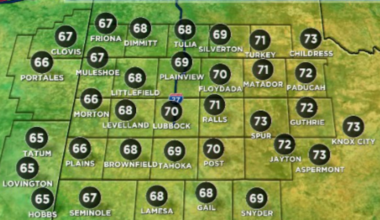 Winter takes a break as mild weather moves in