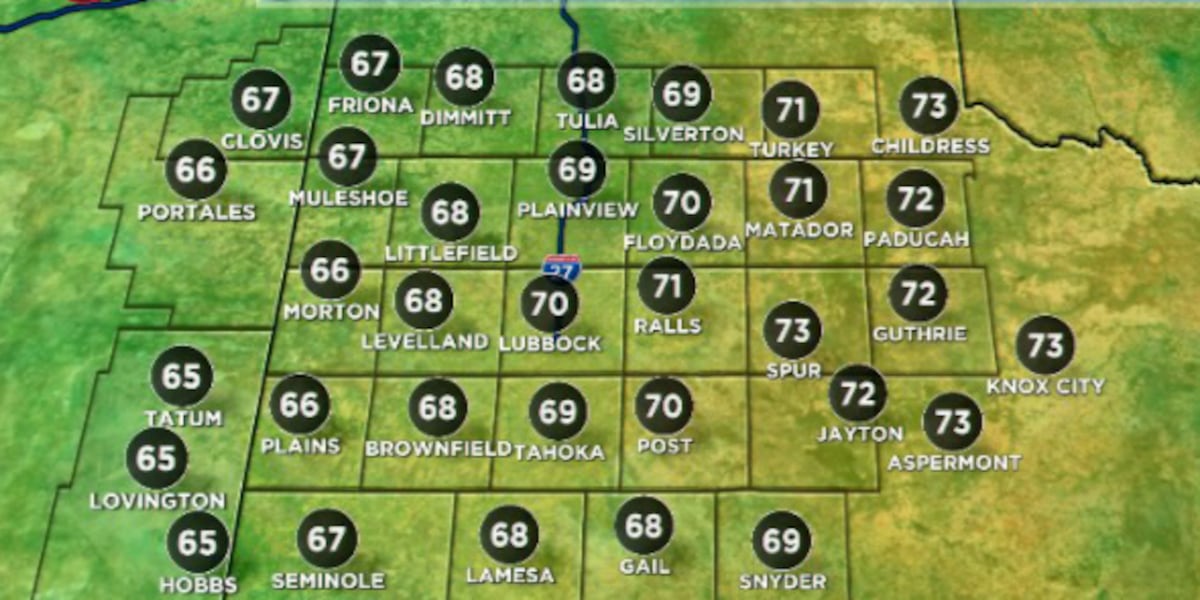 Winter takes a break as mild weather moves in