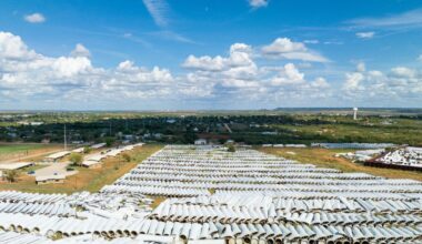Texas sues wind turbine company for allegedly abandoning 3,000 blades in west Texas