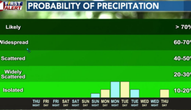Mild February Weather Continues