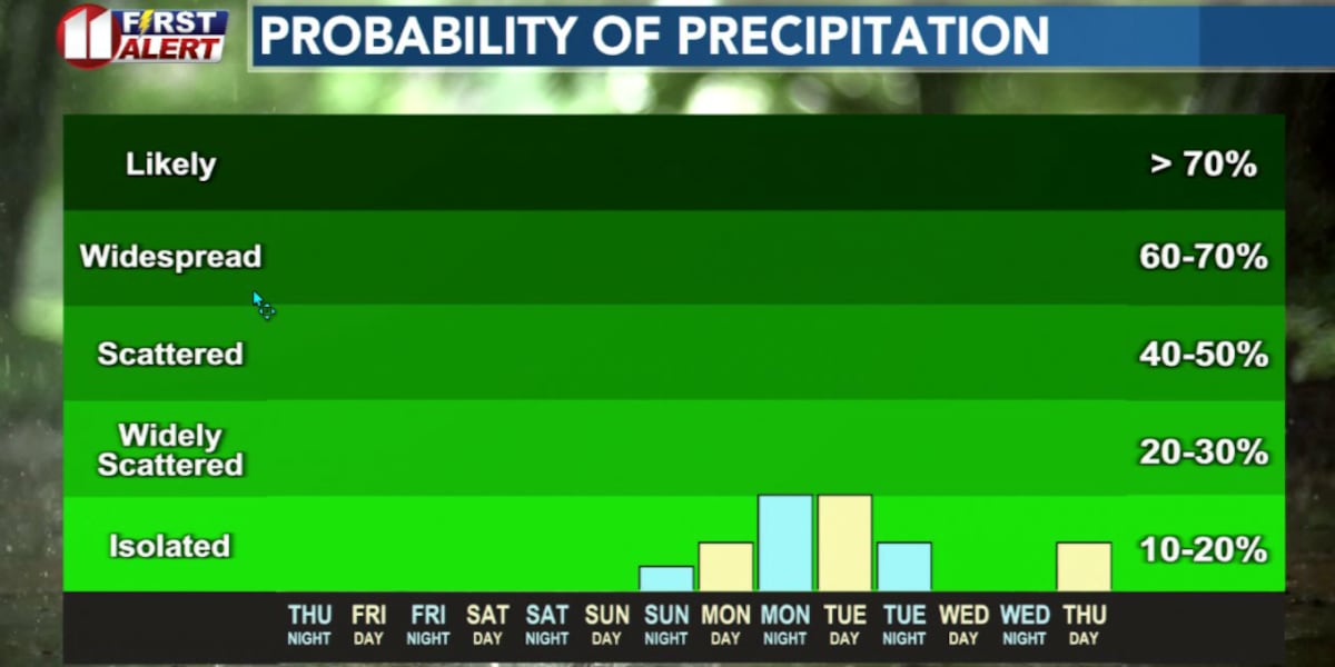 Mild February Weather Continues