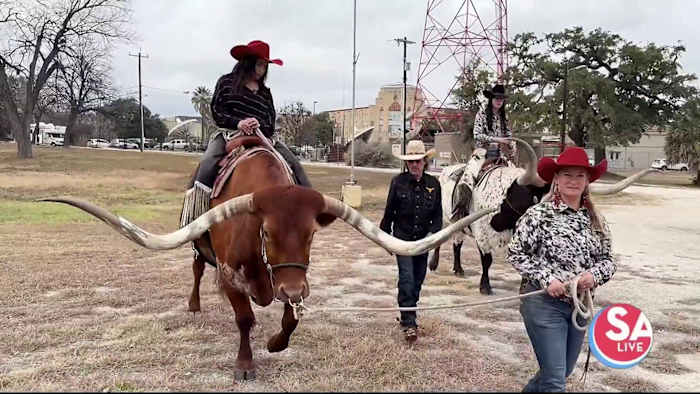 Cross T Ranch is bringing the longhorns to the streets of downtown SA